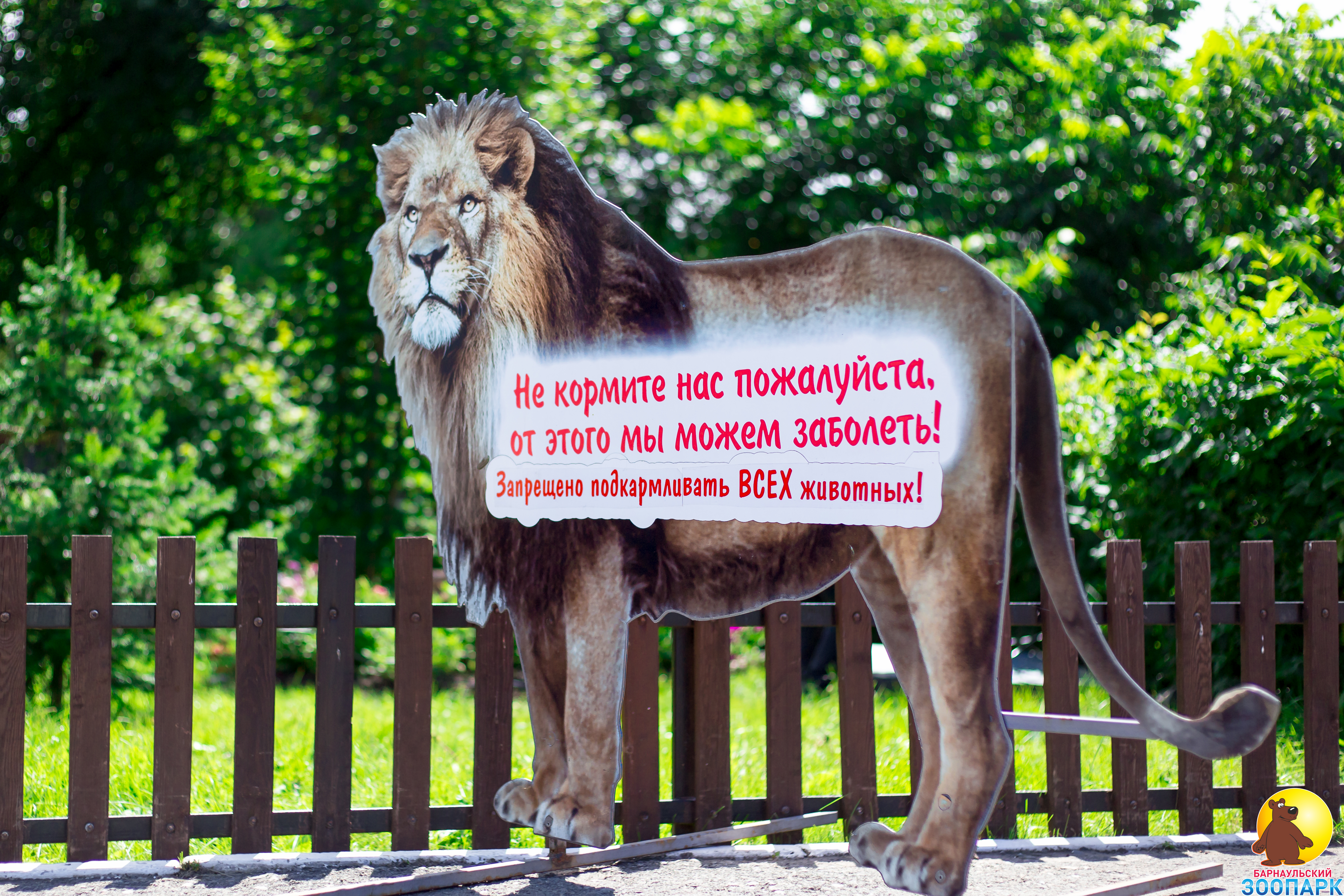 Правила поведения в барнаульском зоопарке