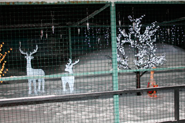 В одном из пустующих вольеров Барнаульского зоопарка поселились необычные обитатели.