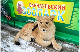Зимняя сказка в Барнаульском зоопарке.